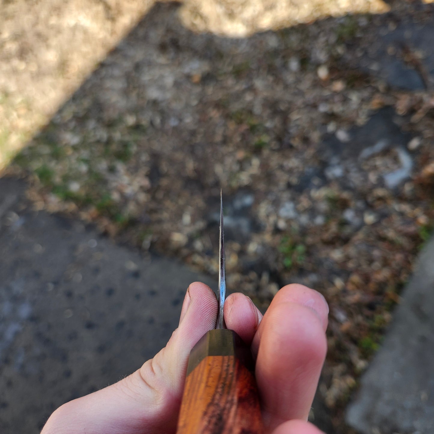 Cocobolo Gyuto 216mm