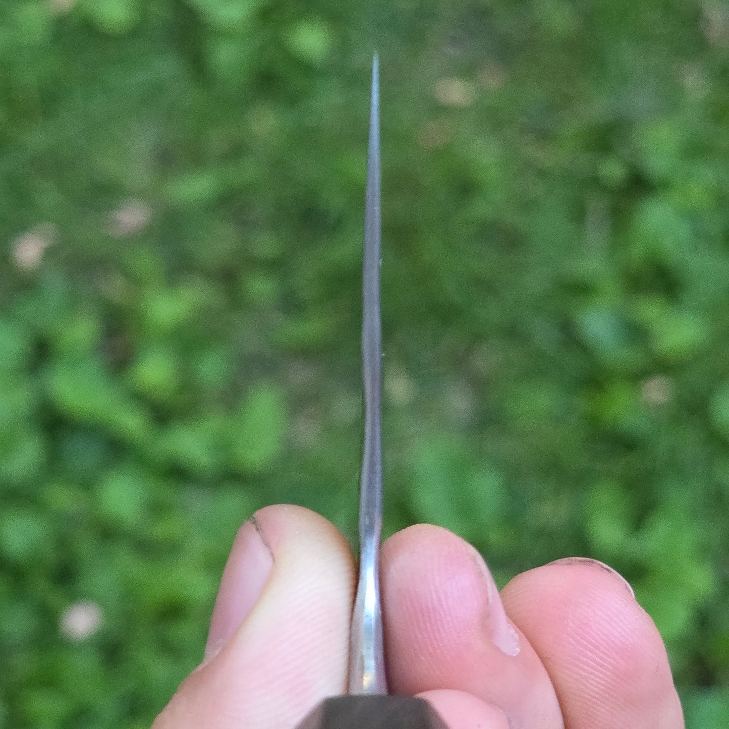 Cocobolo Gyuto