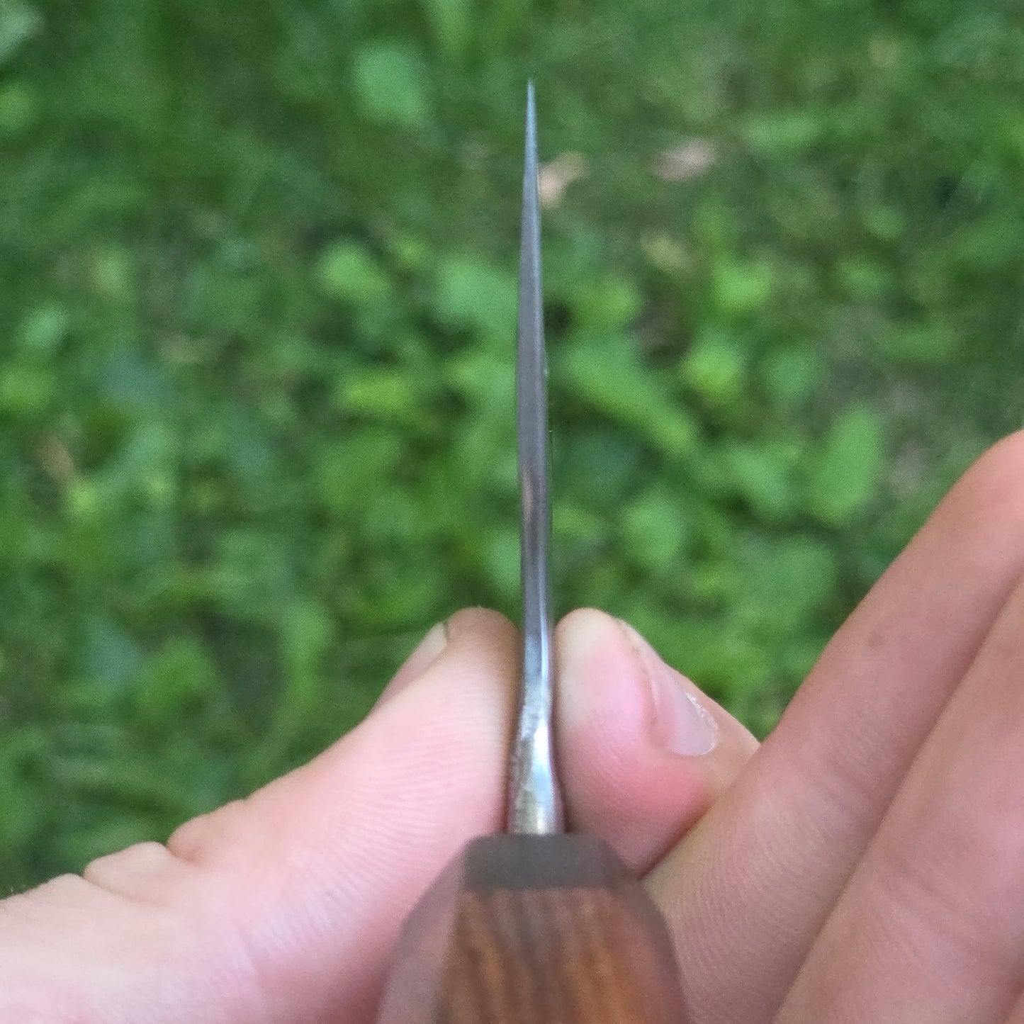 Apex Gyuto