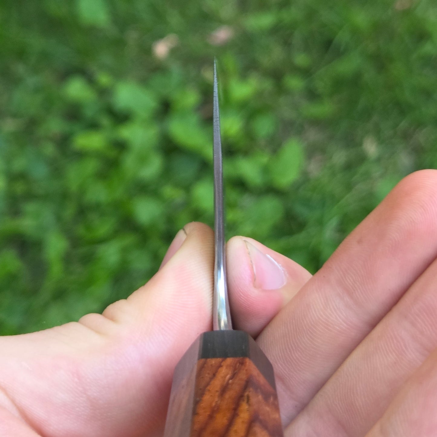 Apex Gyuto 2