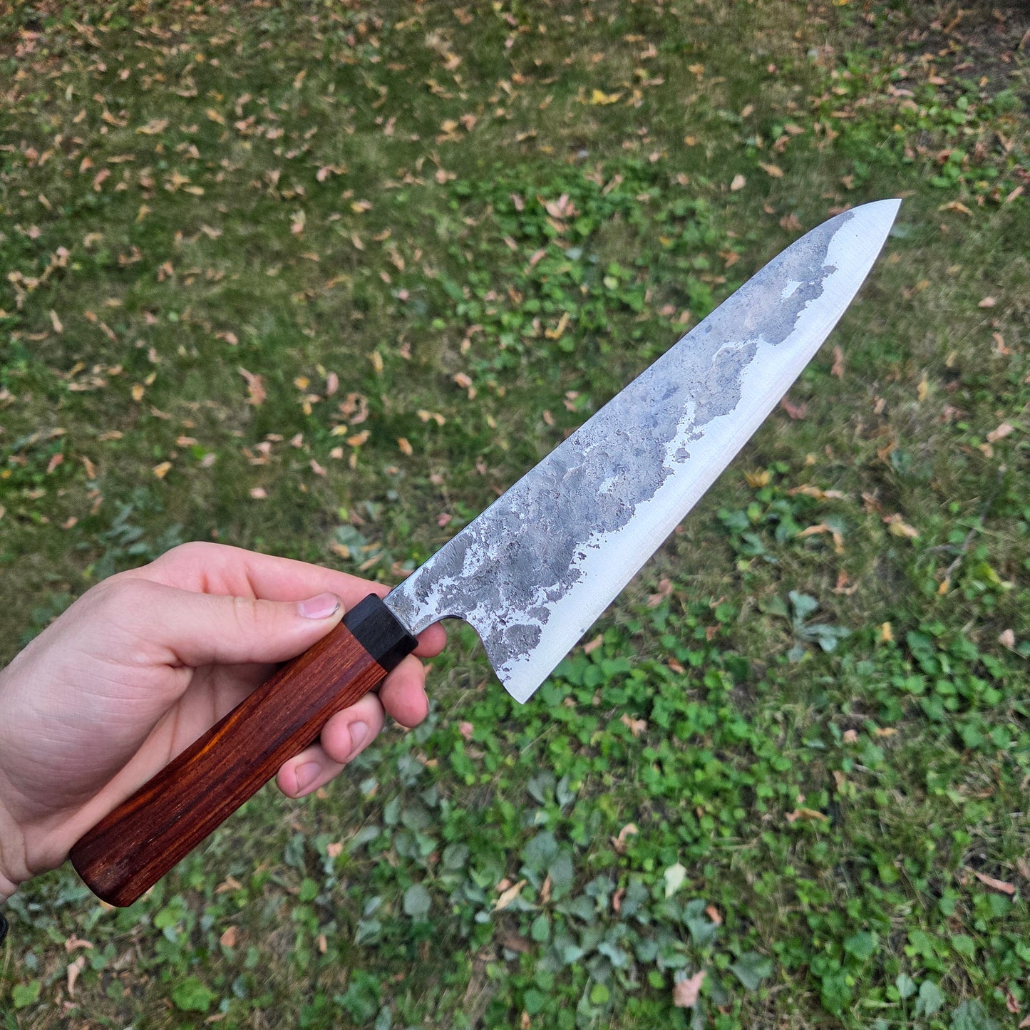Procut Gyuto