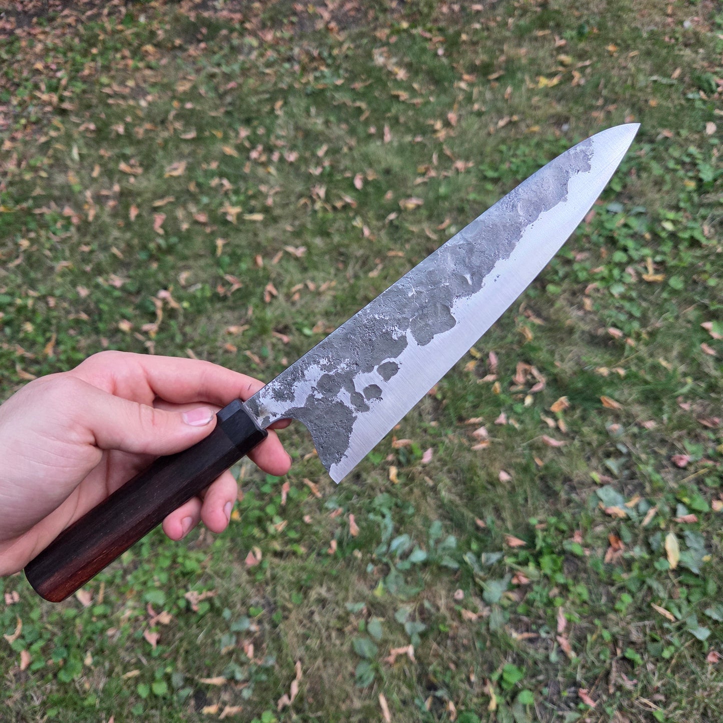 Procut Gyuto