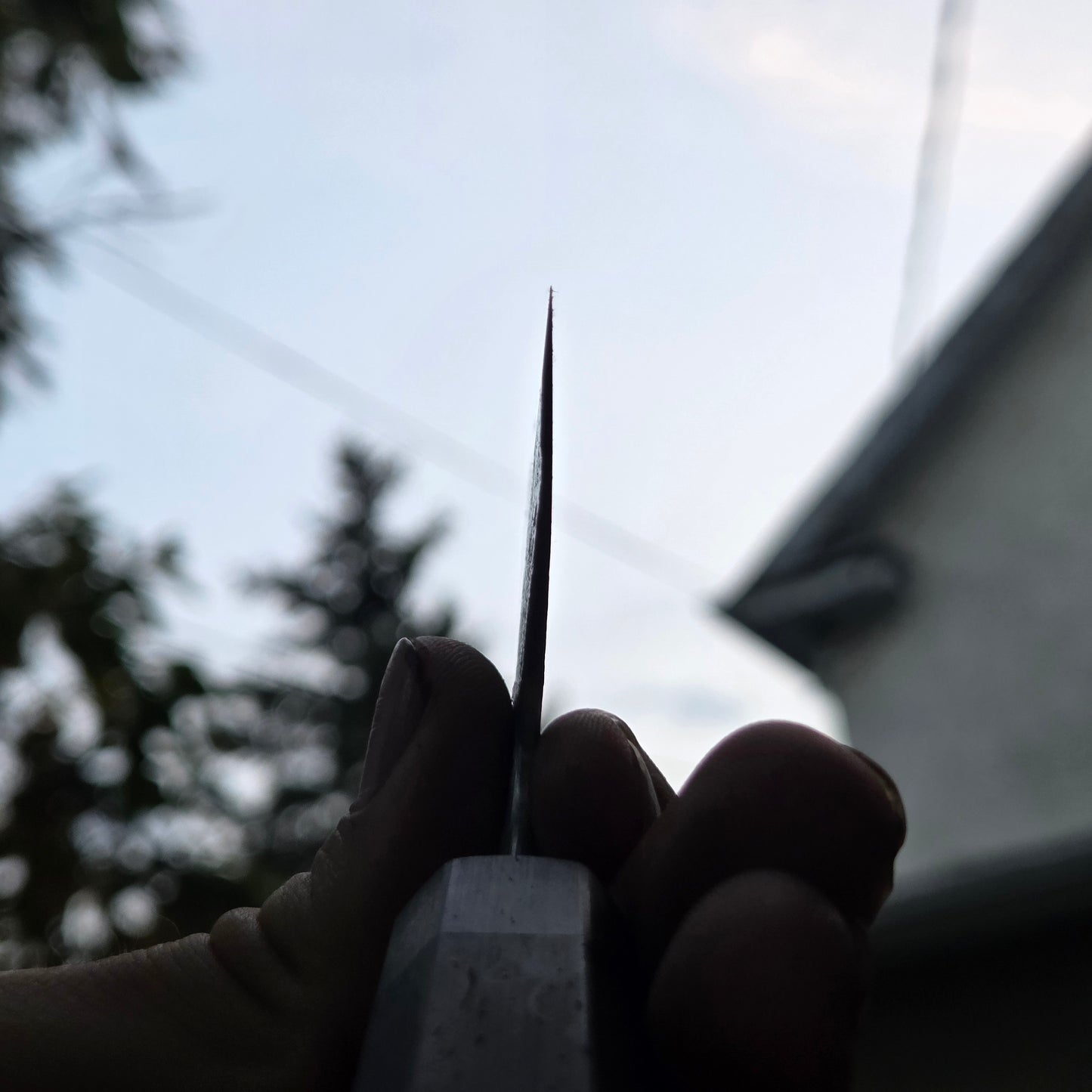 Procut Gyuto