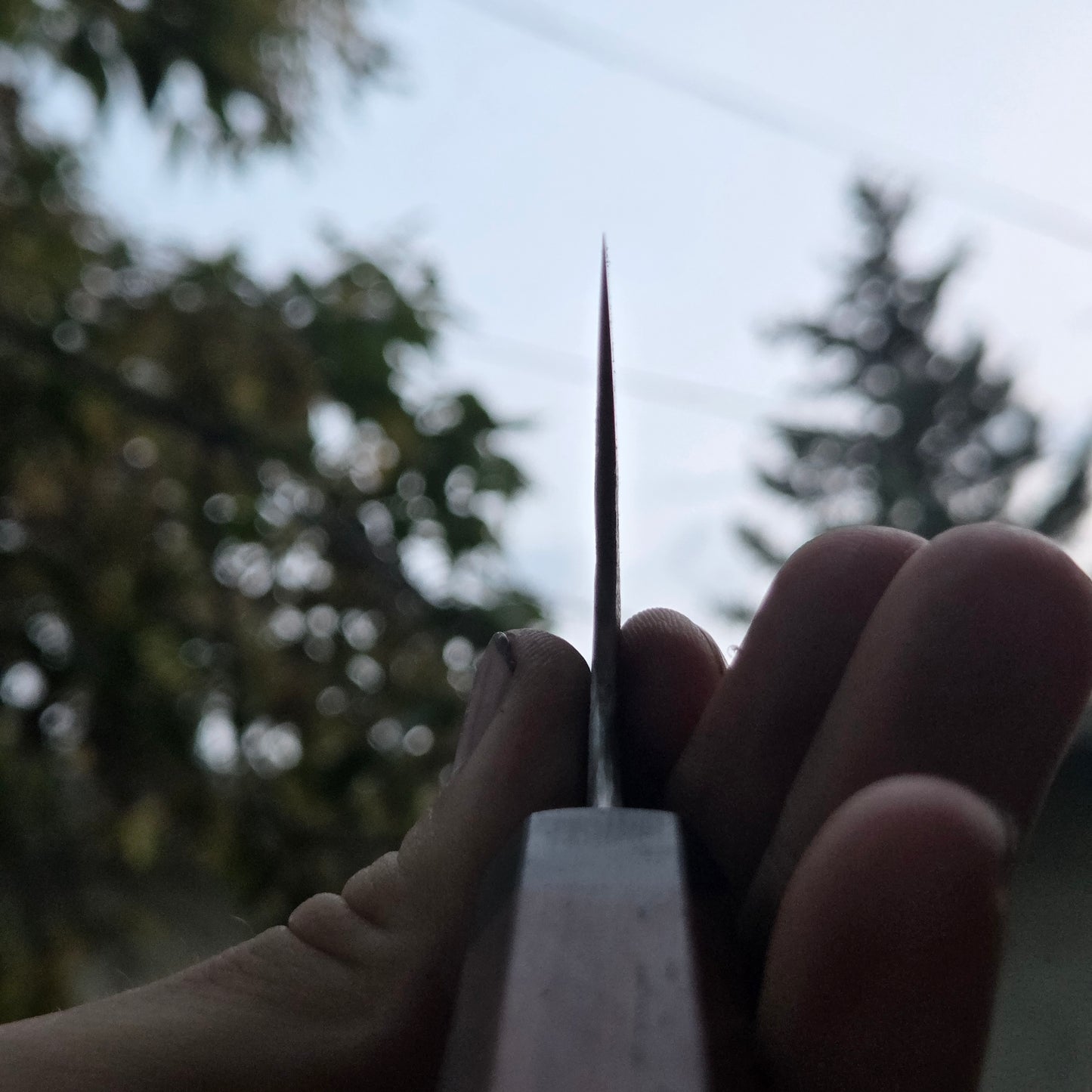 Procut Gyuto
