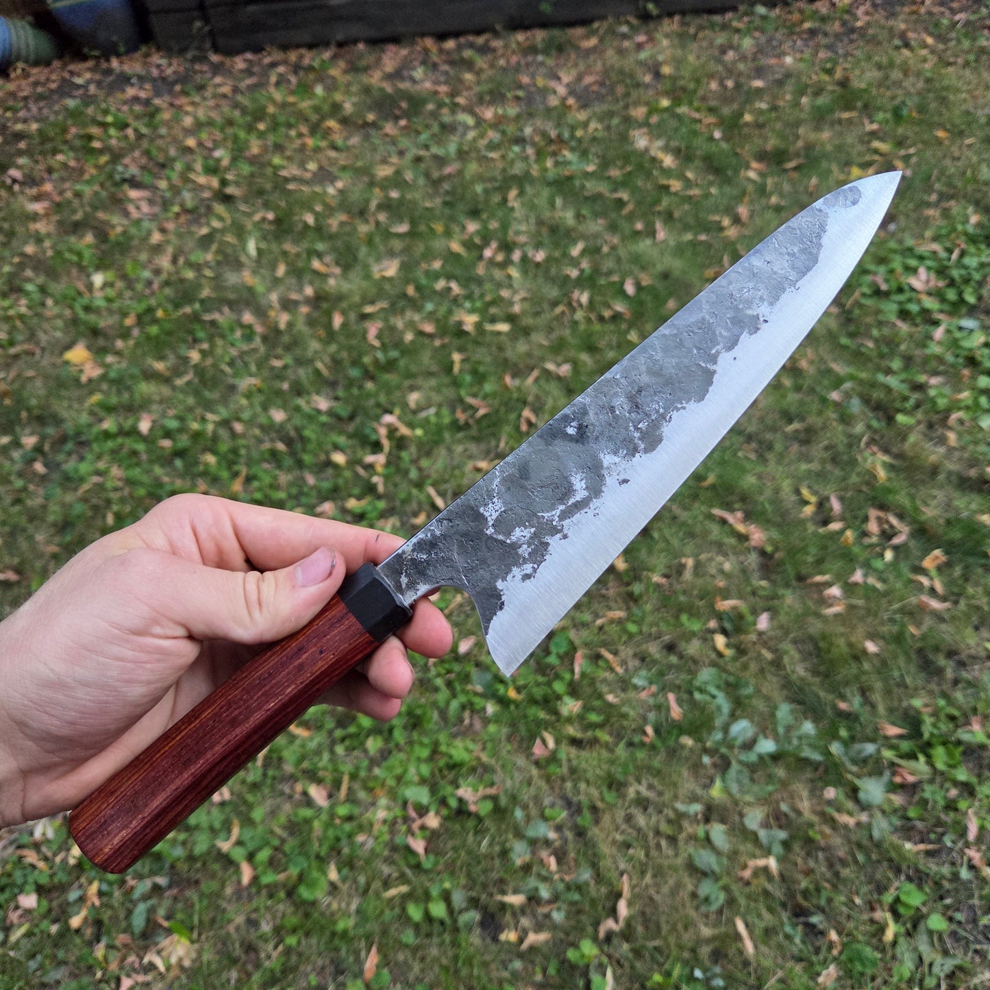 Procut Gyuto