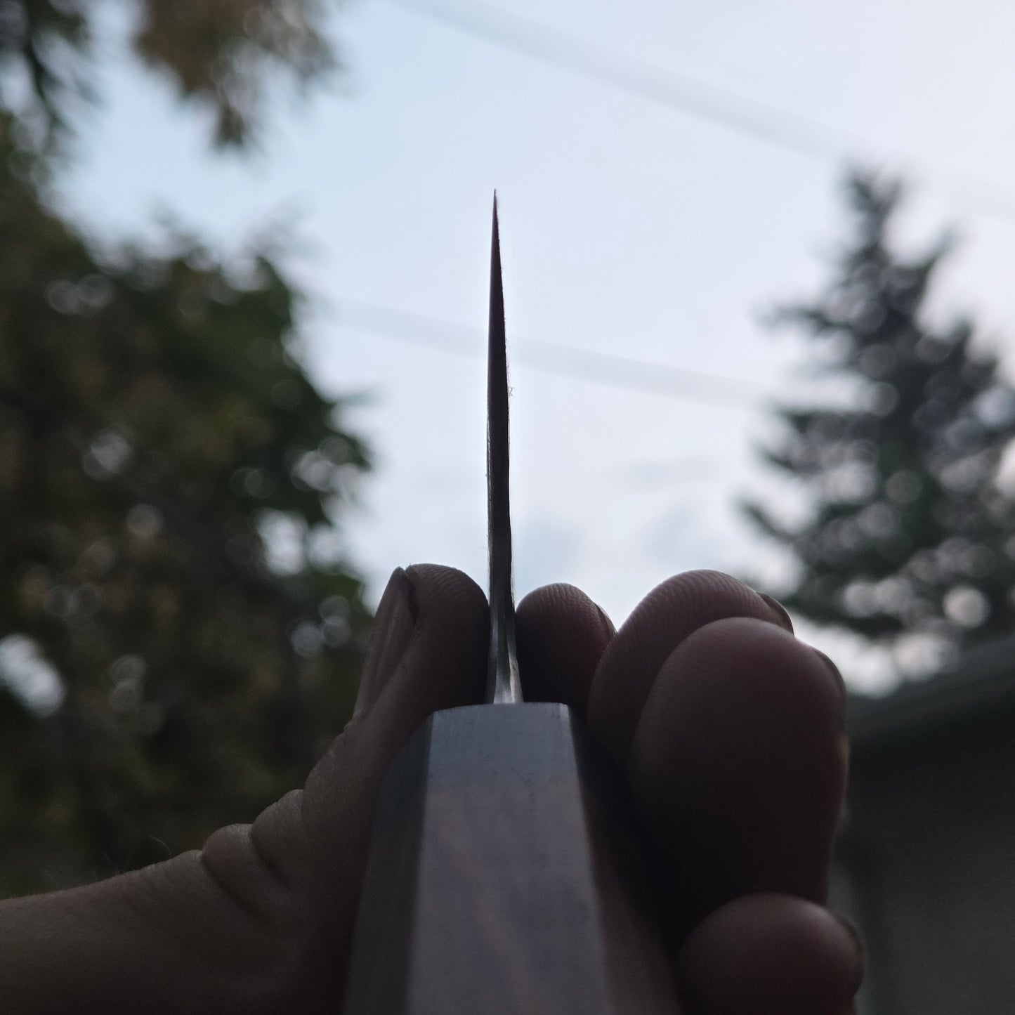 Procut Gyuto