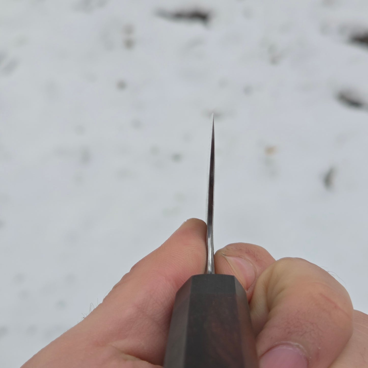 Procut Gyuto