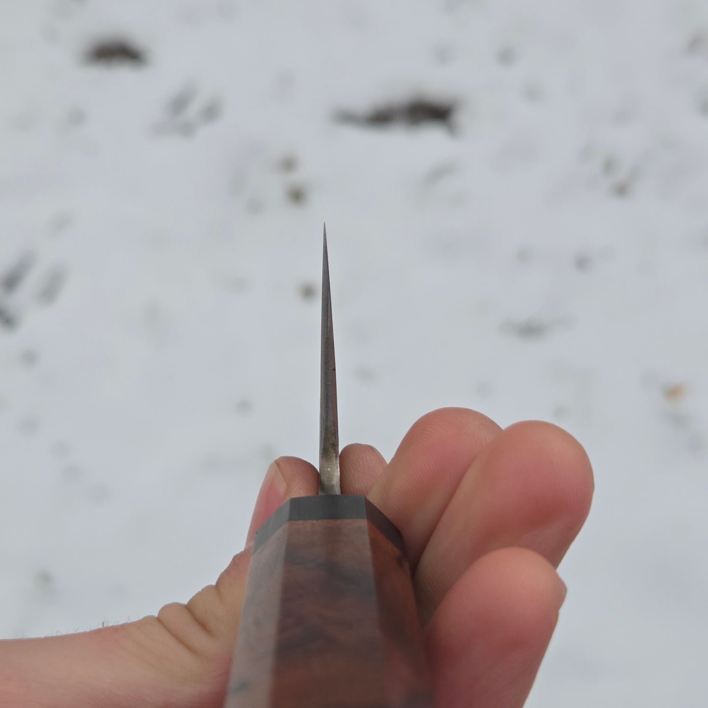 Ironwood Gyuto