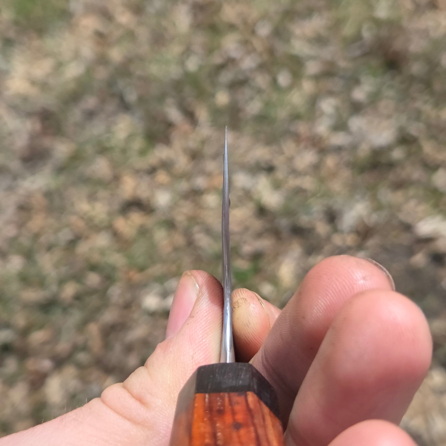 Procut Gyuto