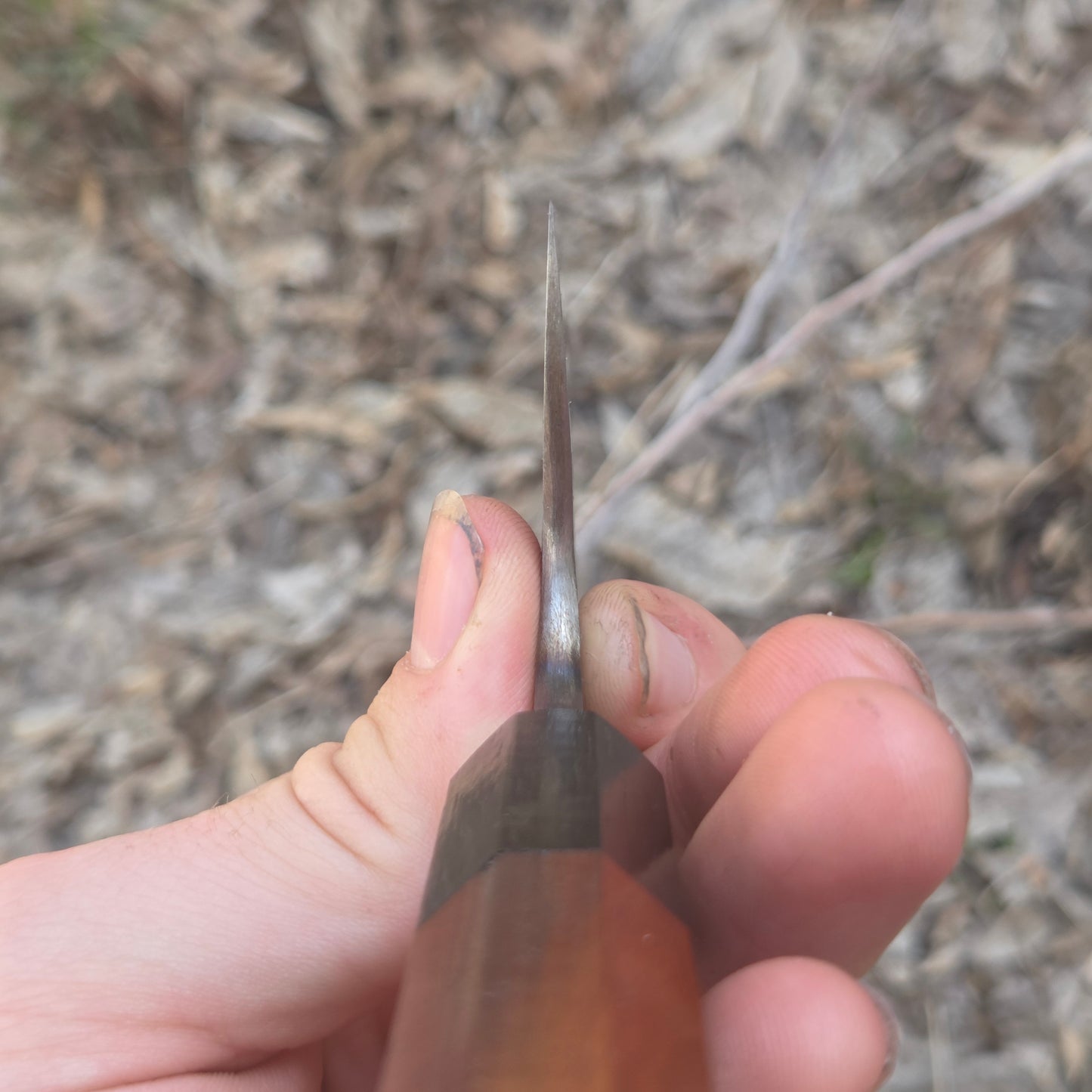 Apex Workhorse Gyuto