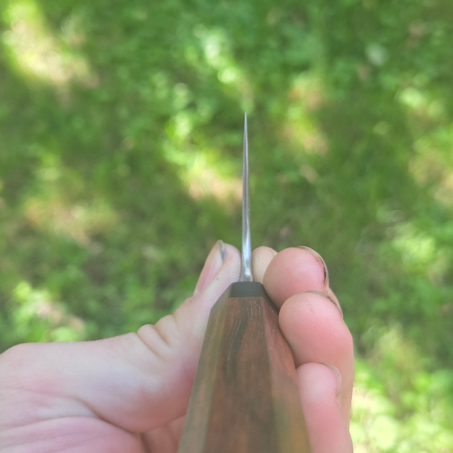 Procut Gyuto