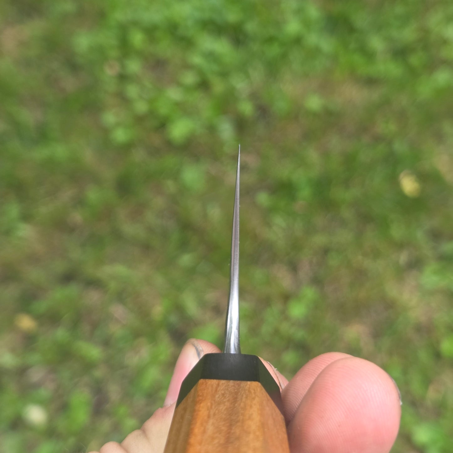 Procut Gyuto