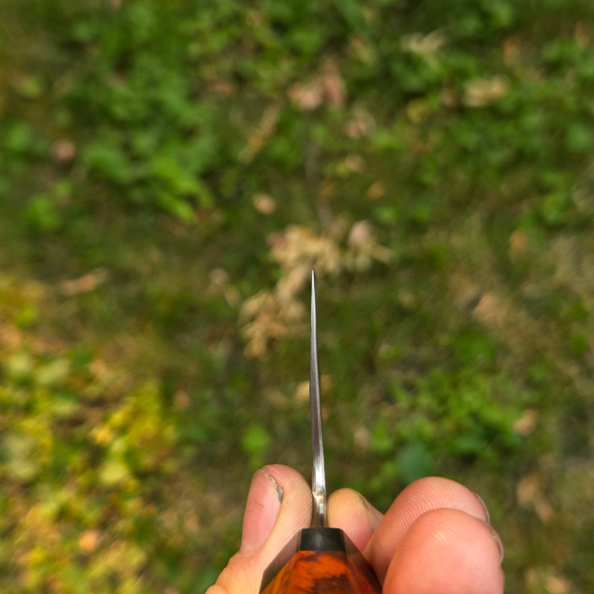 Procut Nakiri