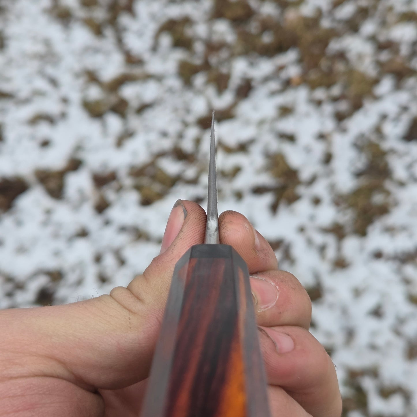 Aeb-l Petty