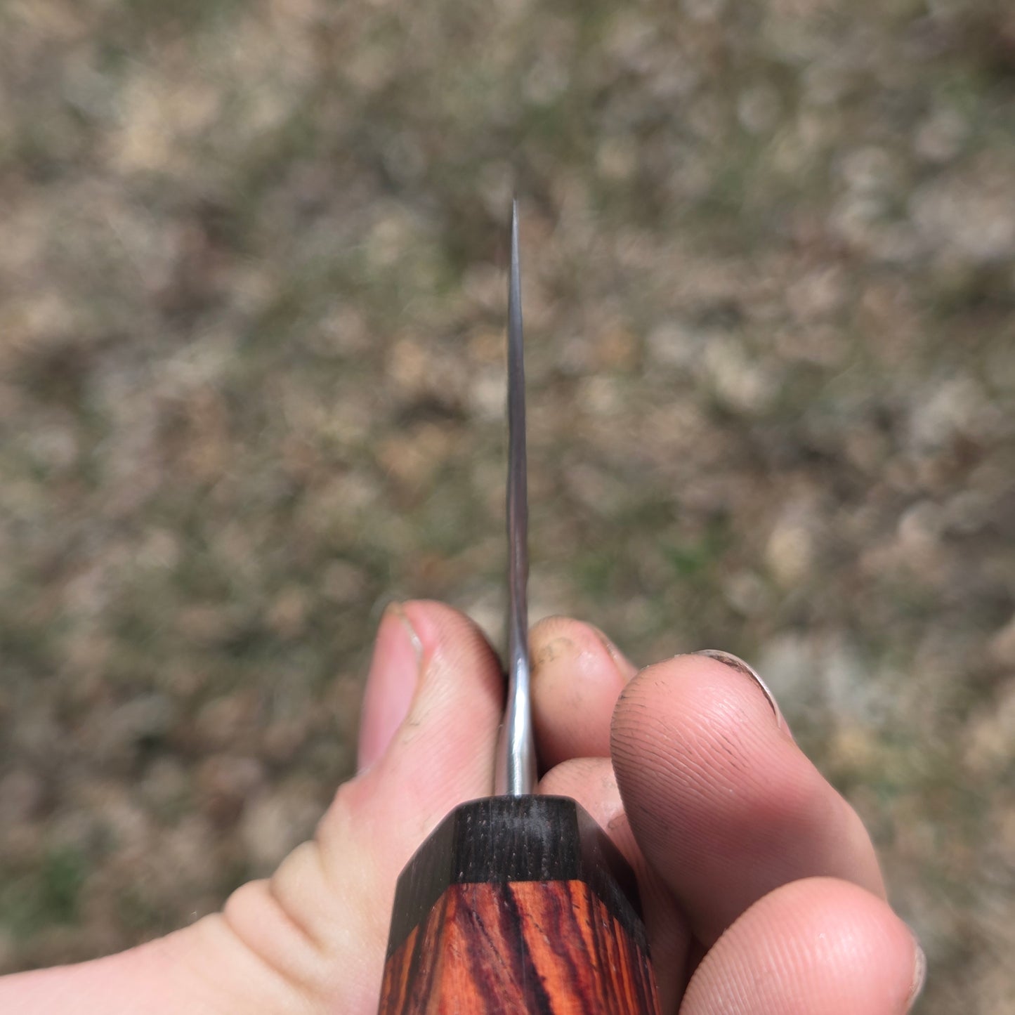 Procut Gyuto