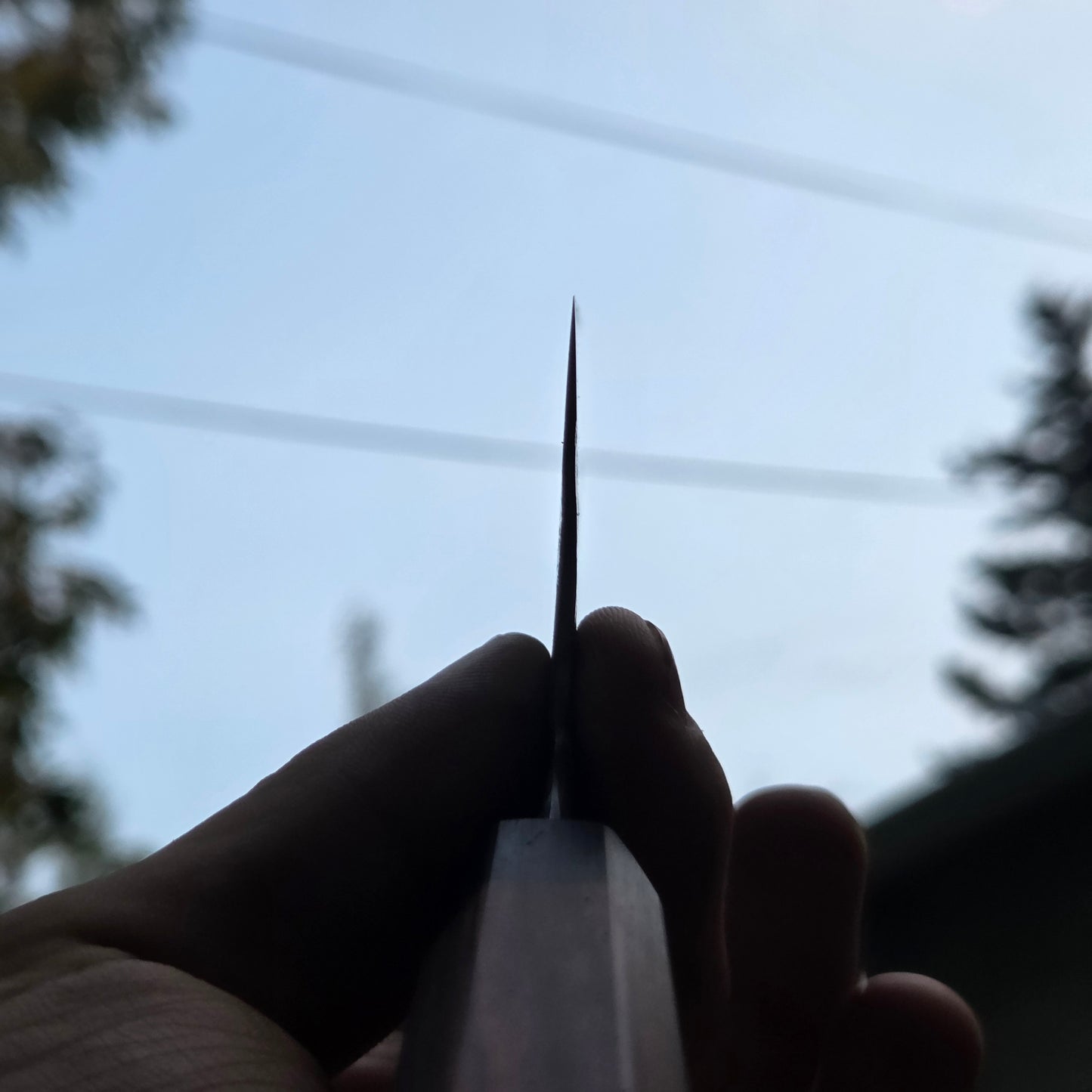 Procut Gyuto