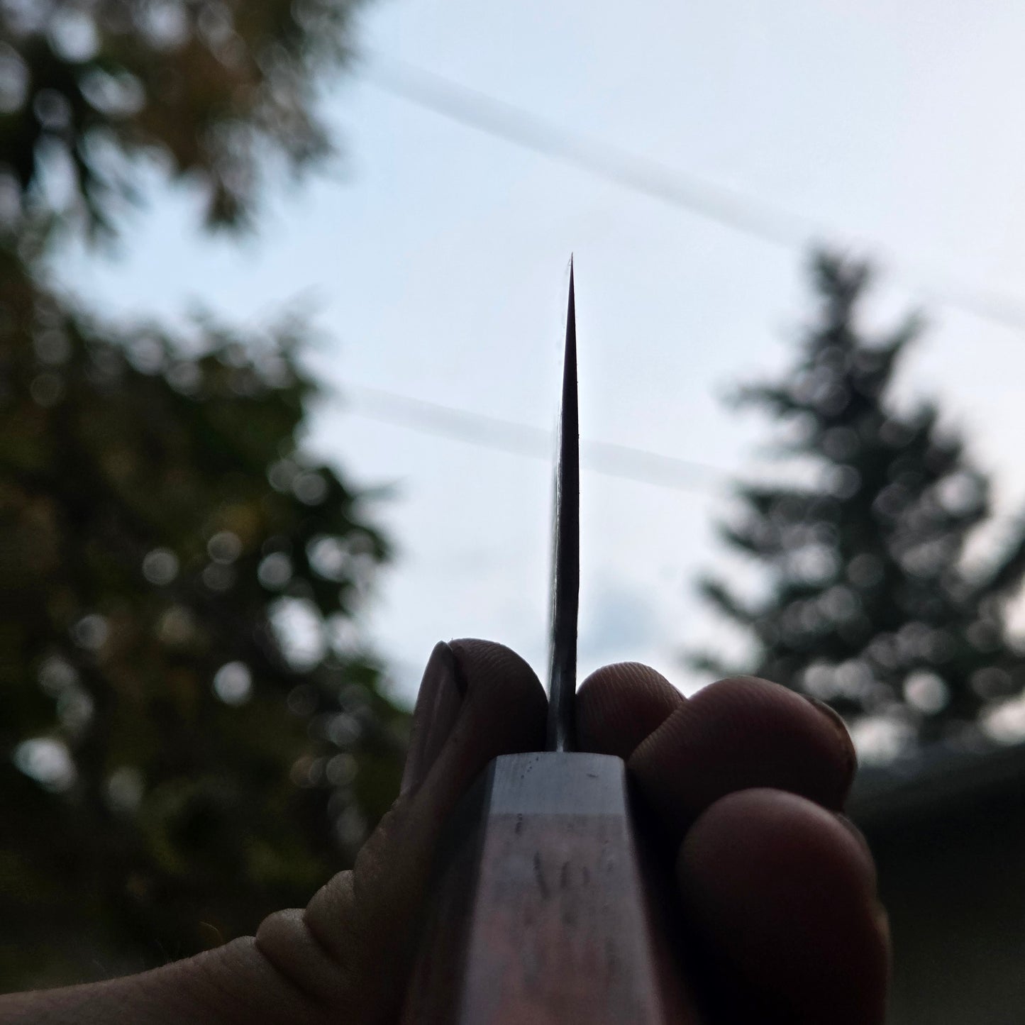 Procut Gyuto
