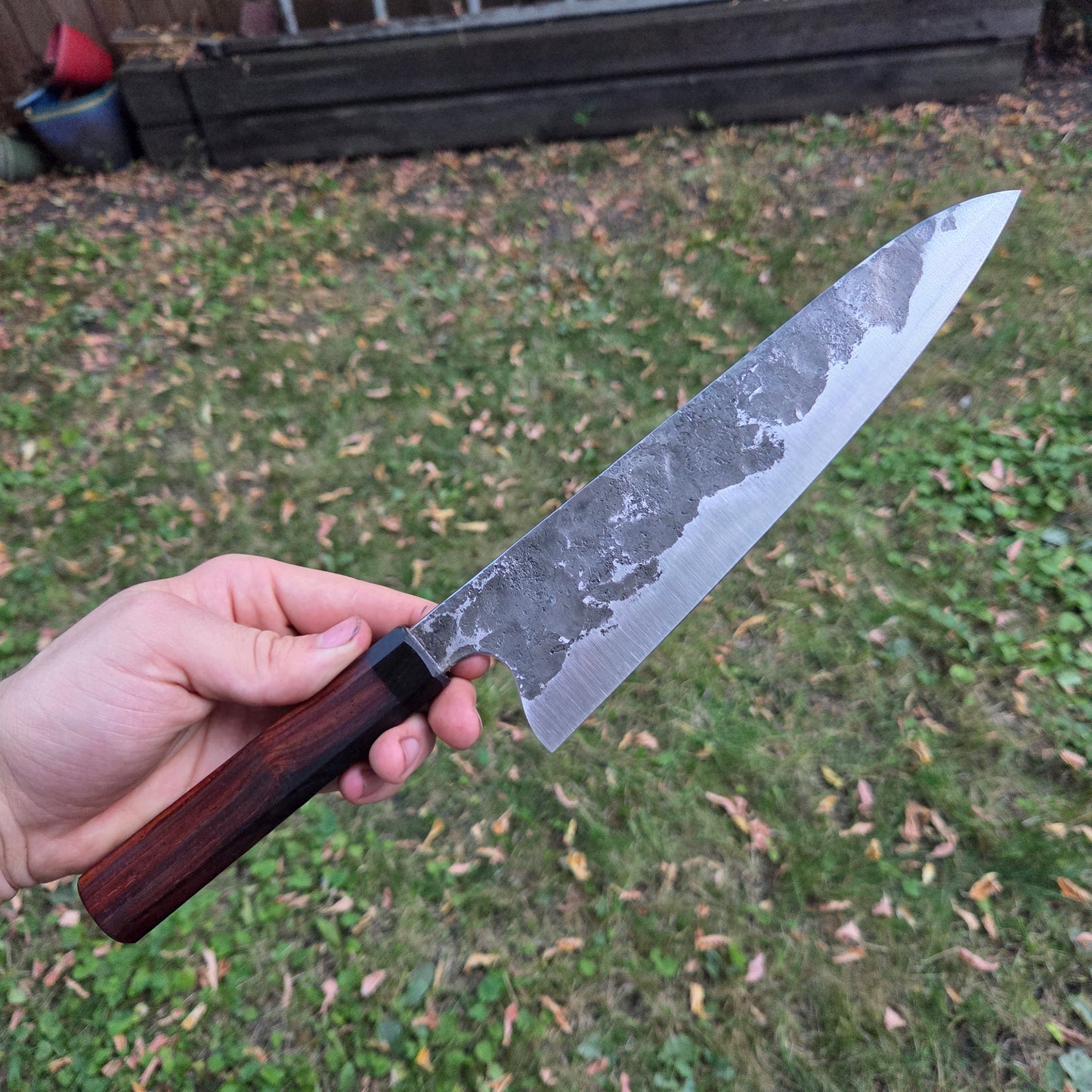 Procut Gyuto