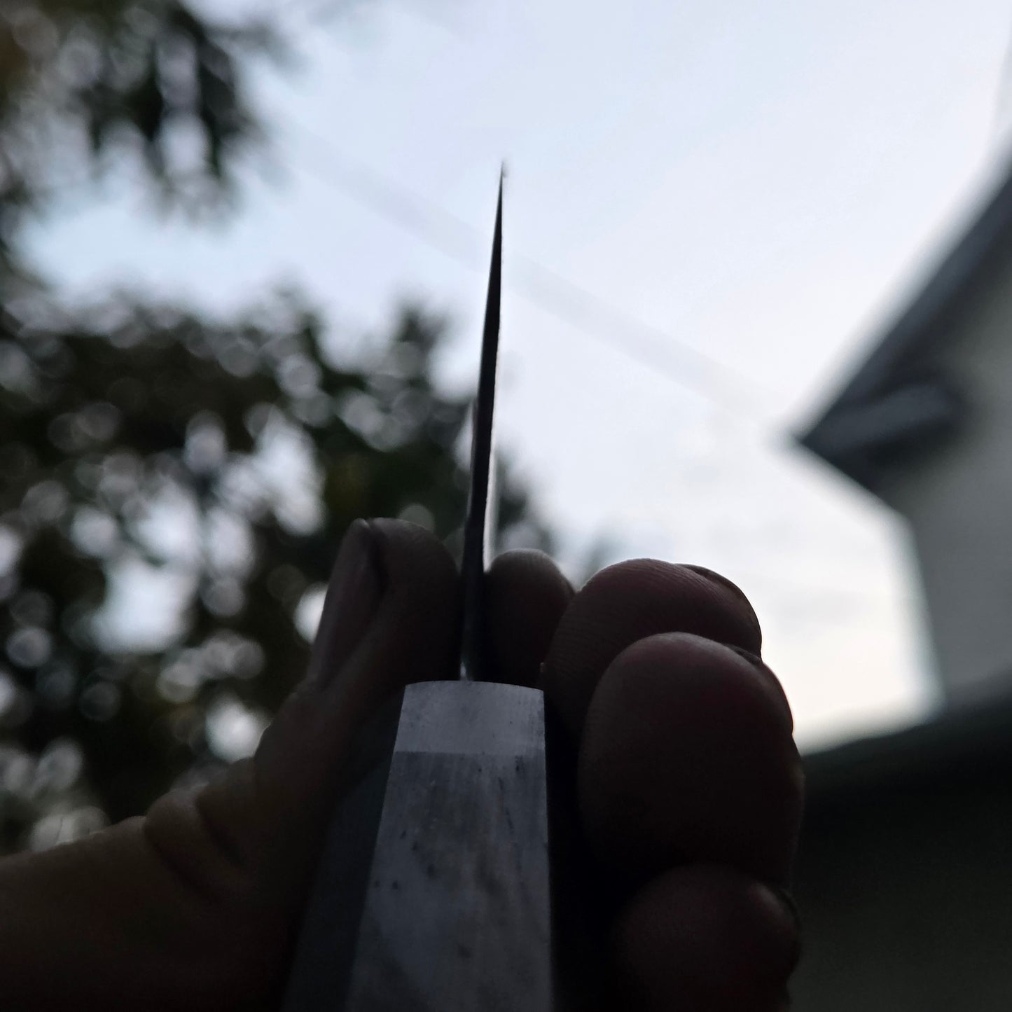 Procut Gyuto