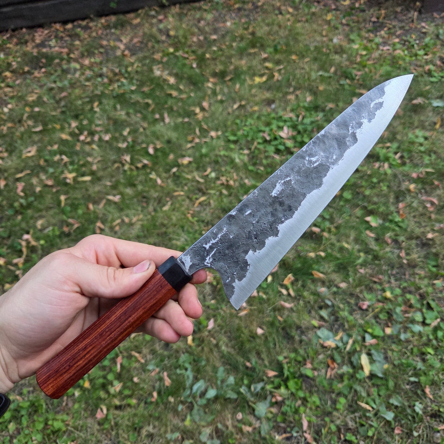 Procut Gyuto