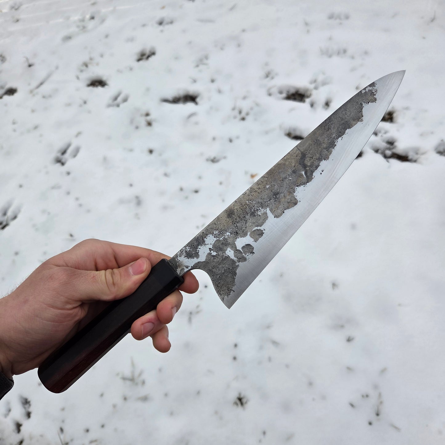 Procut Gyuto