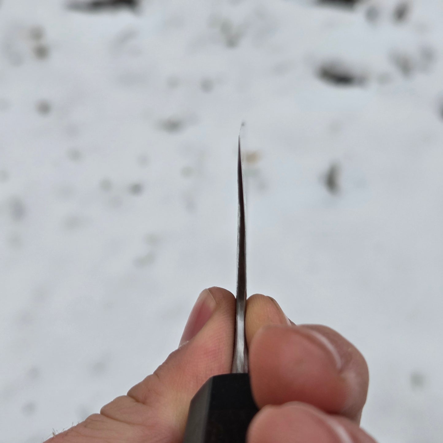 Procut Gyuto