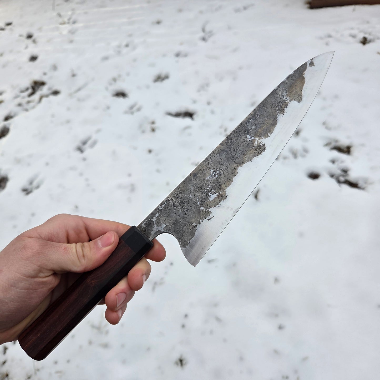 Procut Gyuto