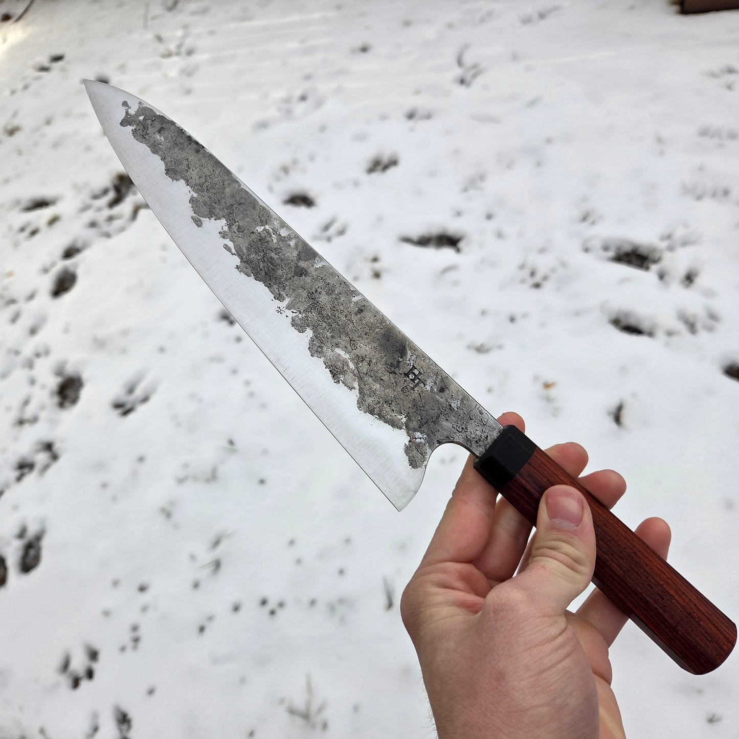 Procut Gyuto