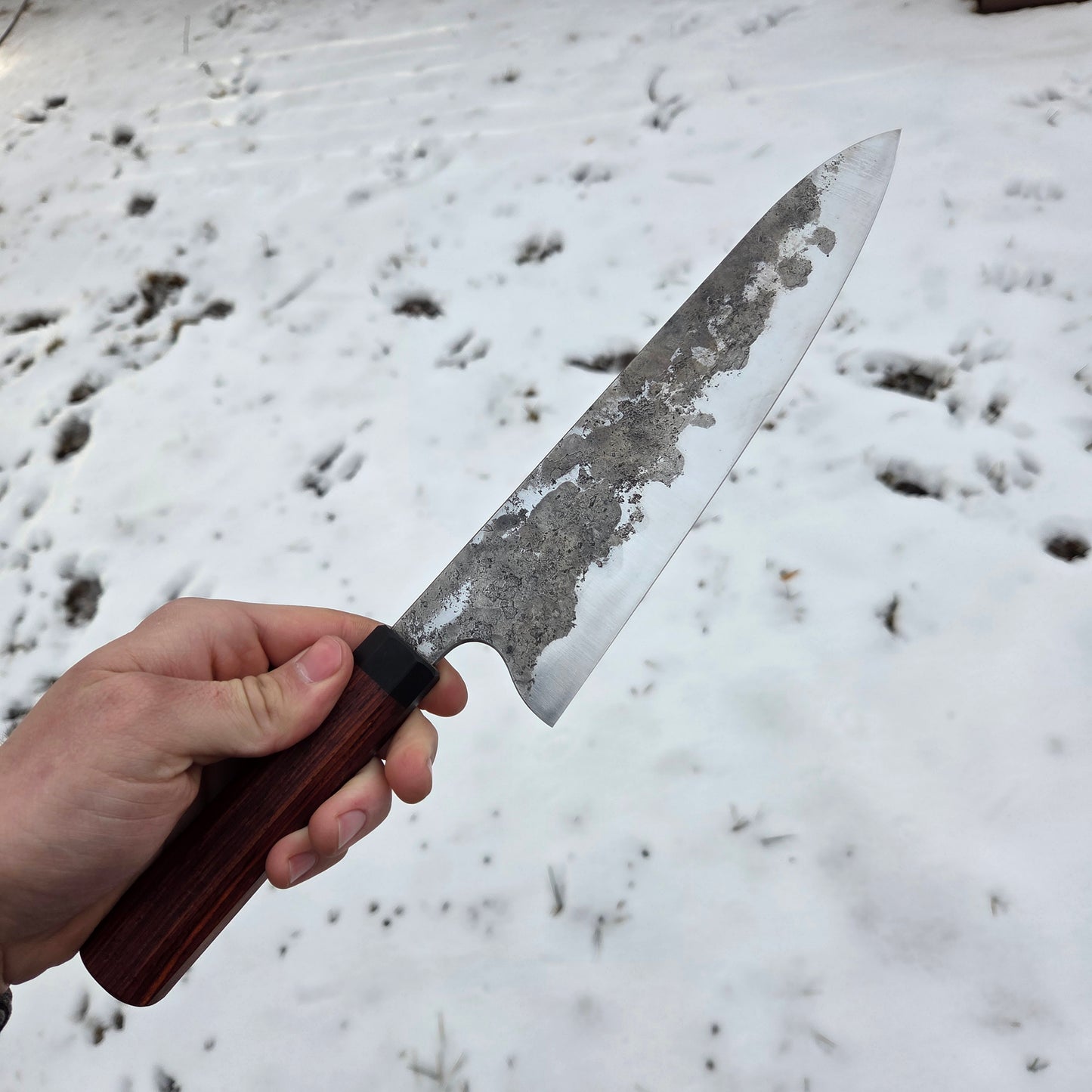 Procut Gyuto