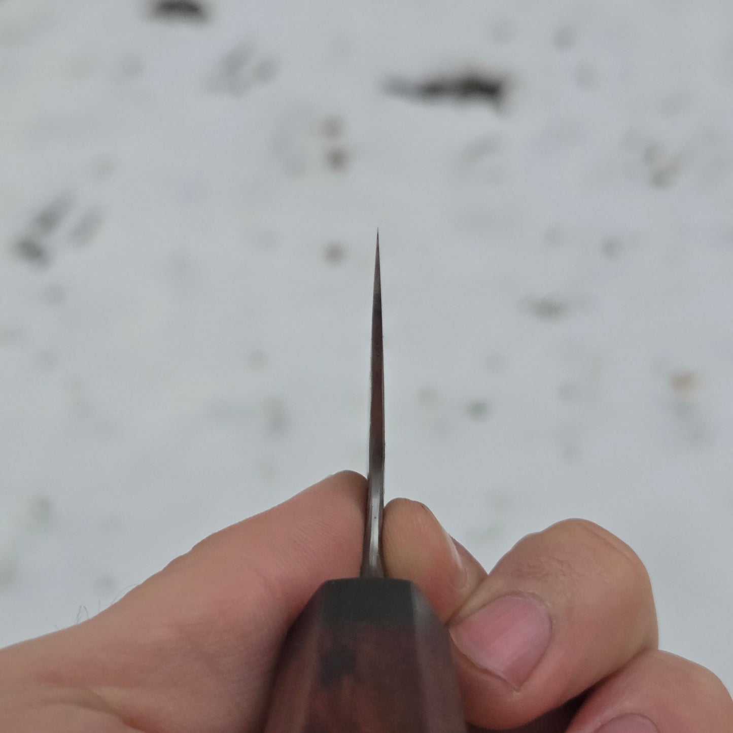 Procut Gyuto