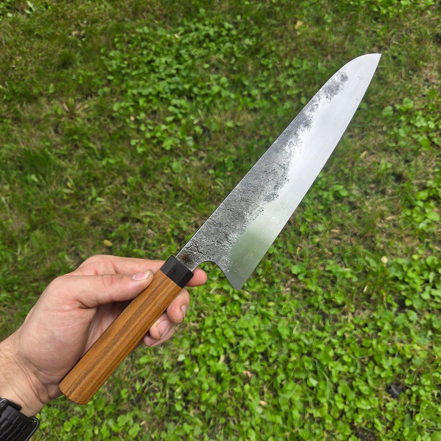 Procut Gyuto