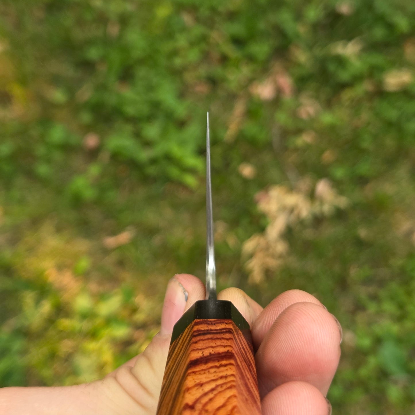 Procut Nakiri