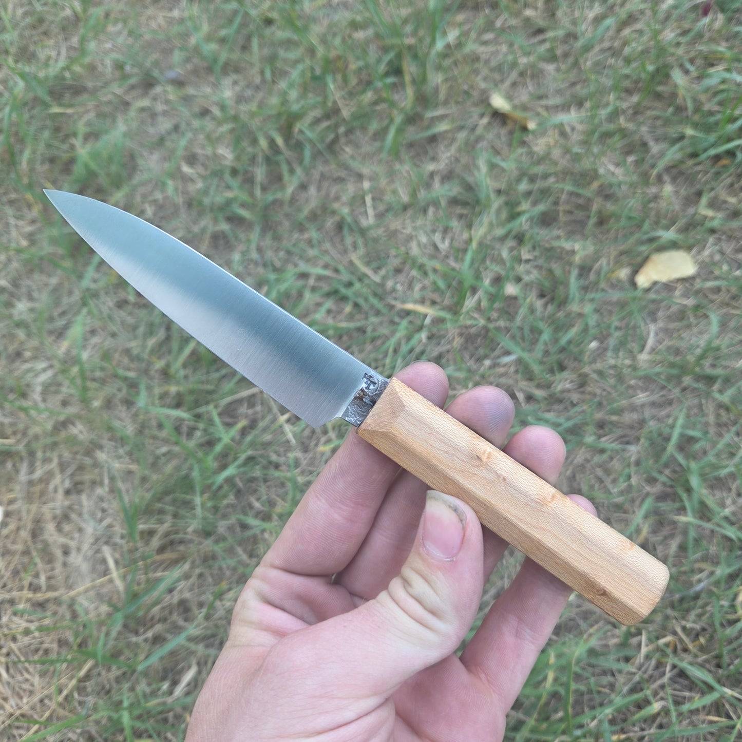 Maple Paring knife
