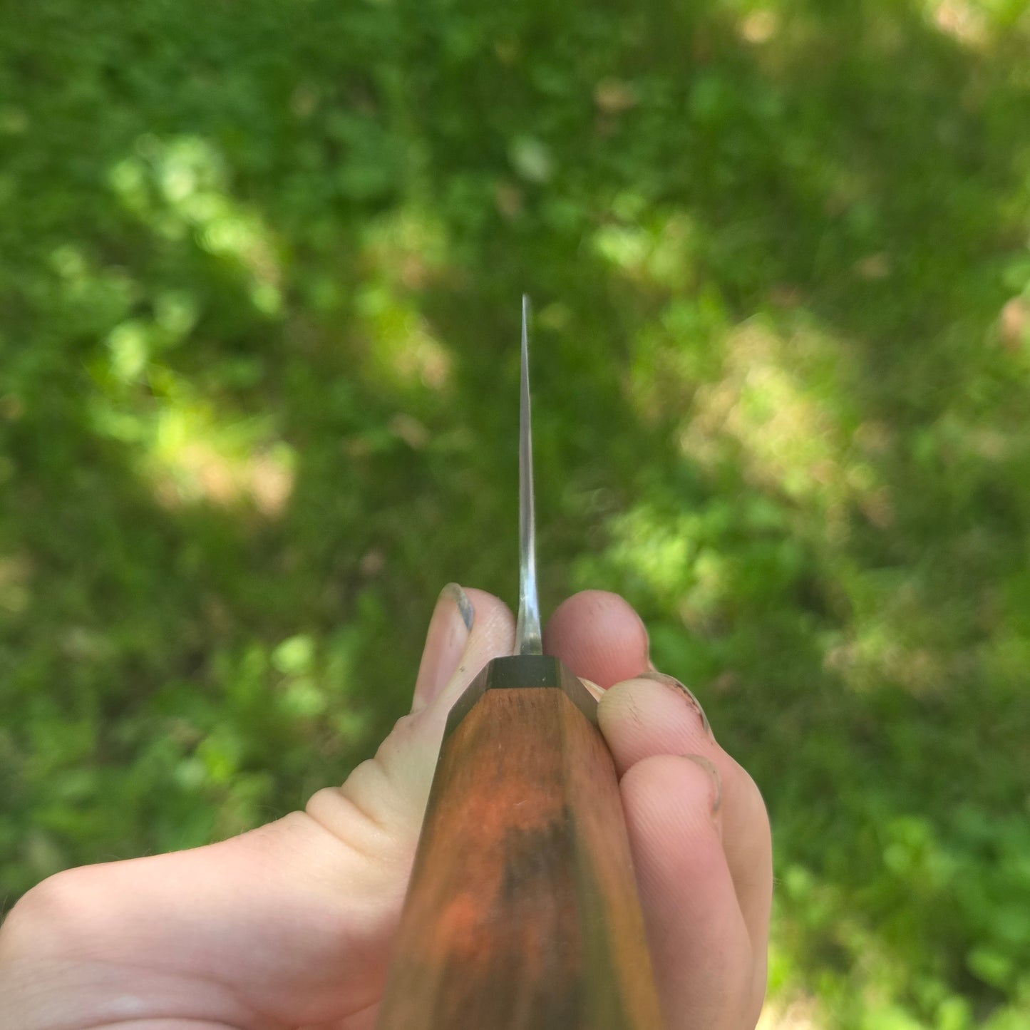Procut Gyuto