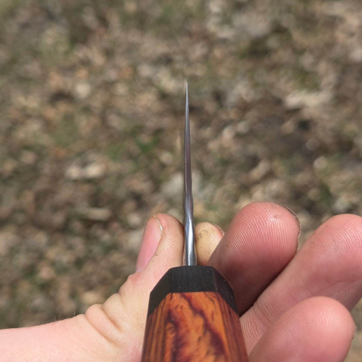 Procut Gyuto