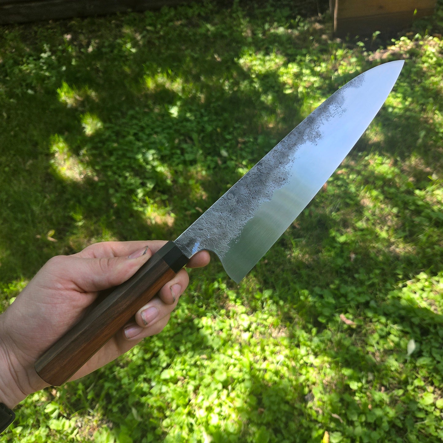 Procut Gyuto