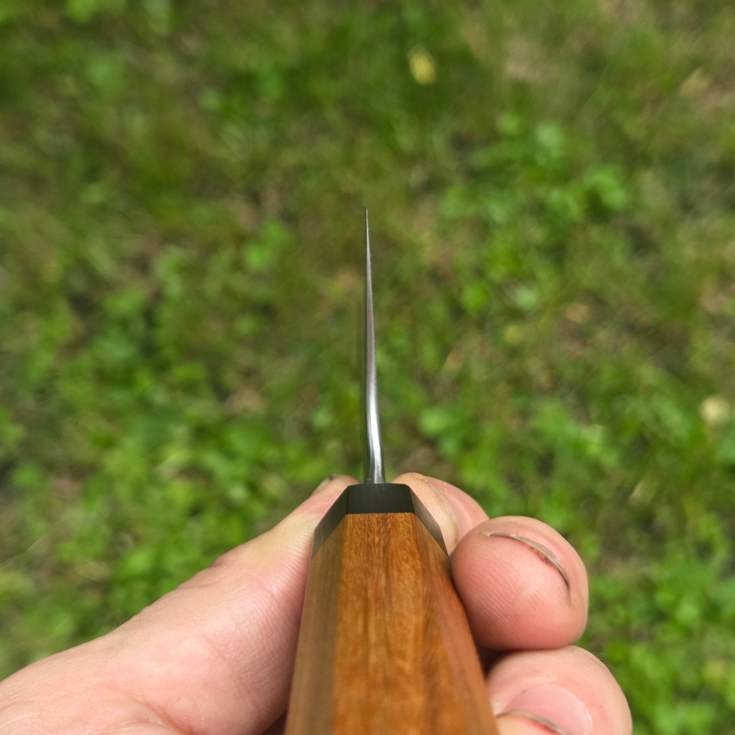 Procut Gyuto