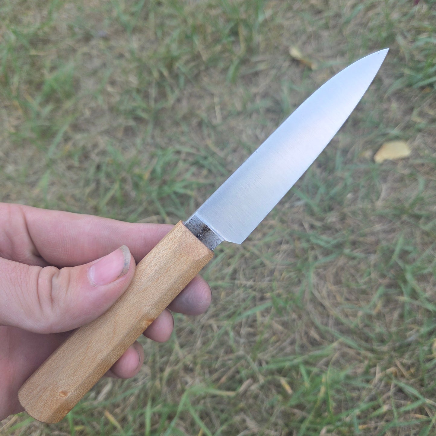 Maple Paring knife