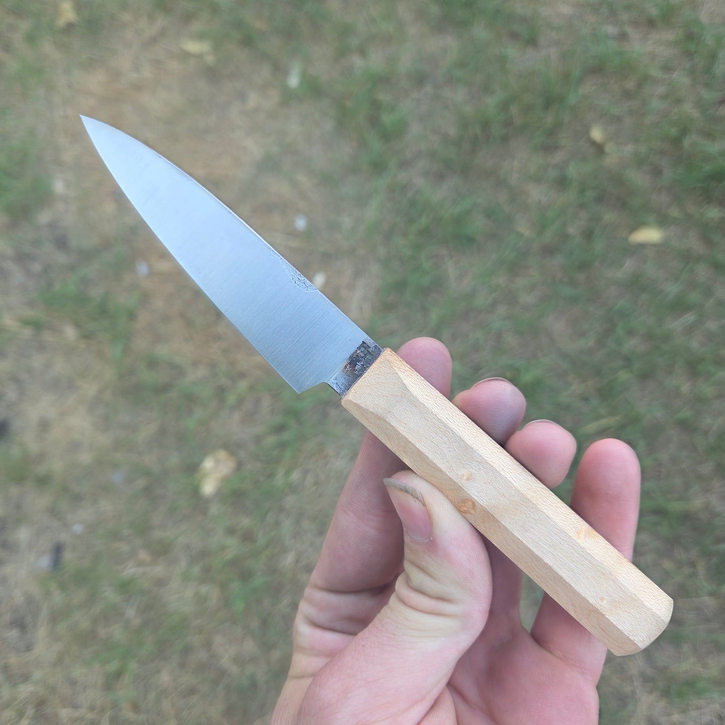 Maple Paring knife