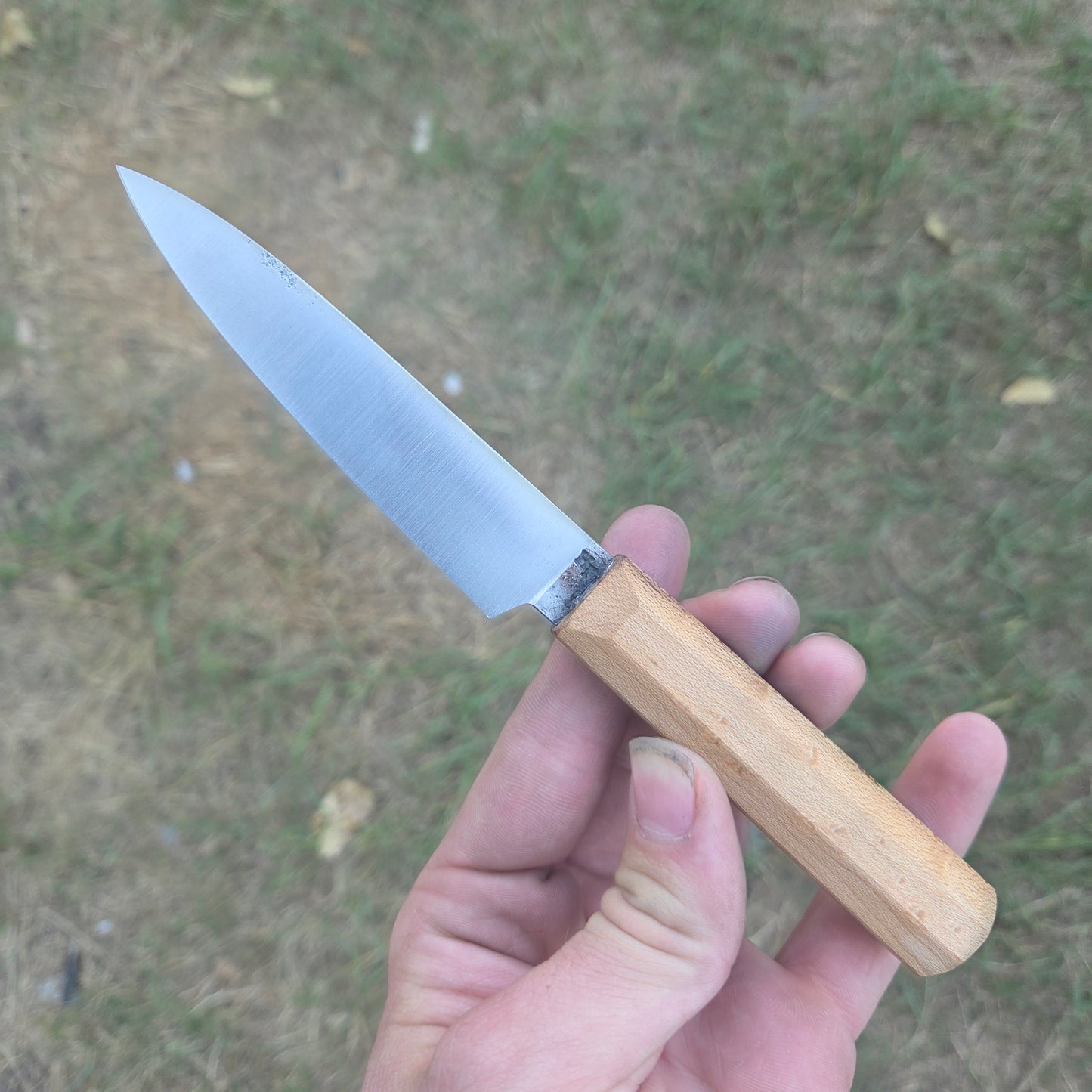 Maple Paring knife