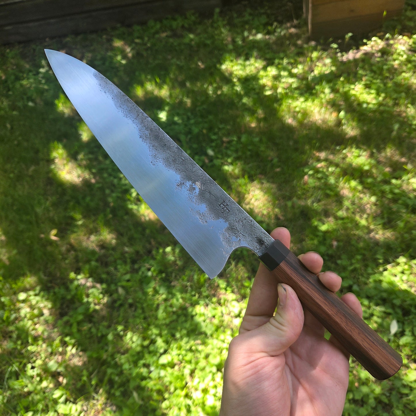 Procut Gyuto