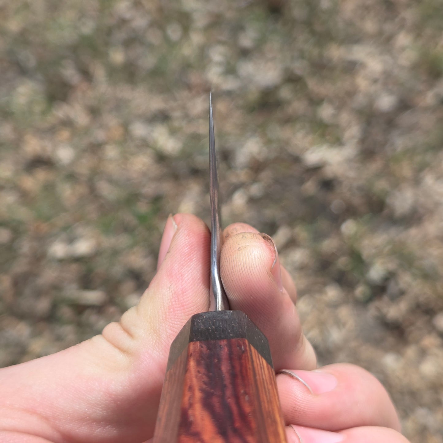 Procut Gyuto