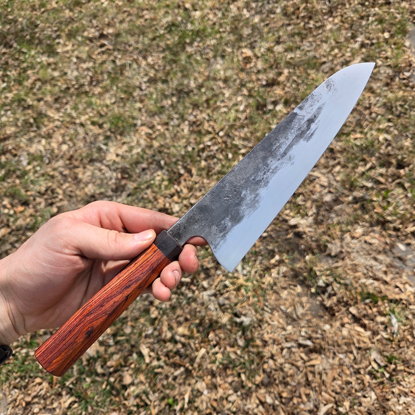 Procut Gyuto