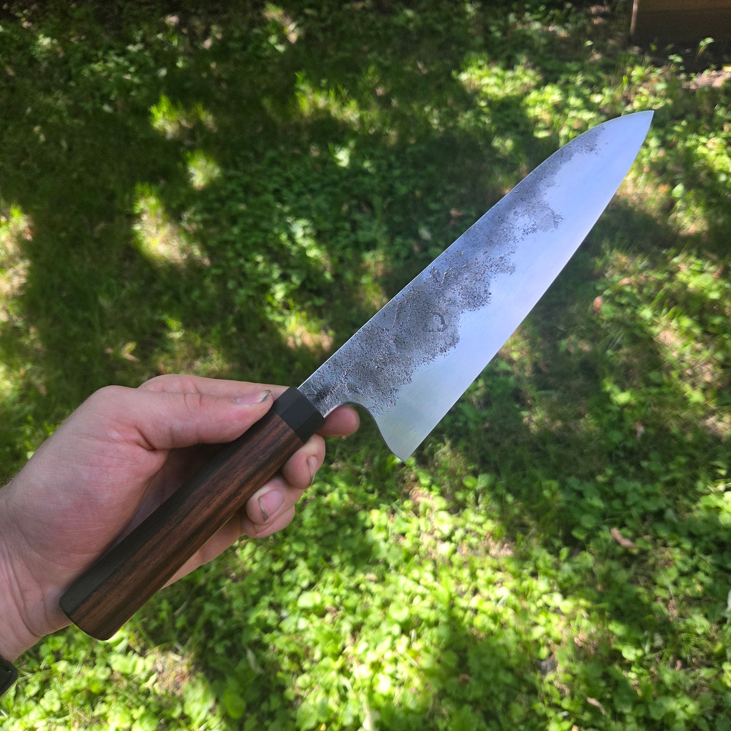 Procut Gyuto