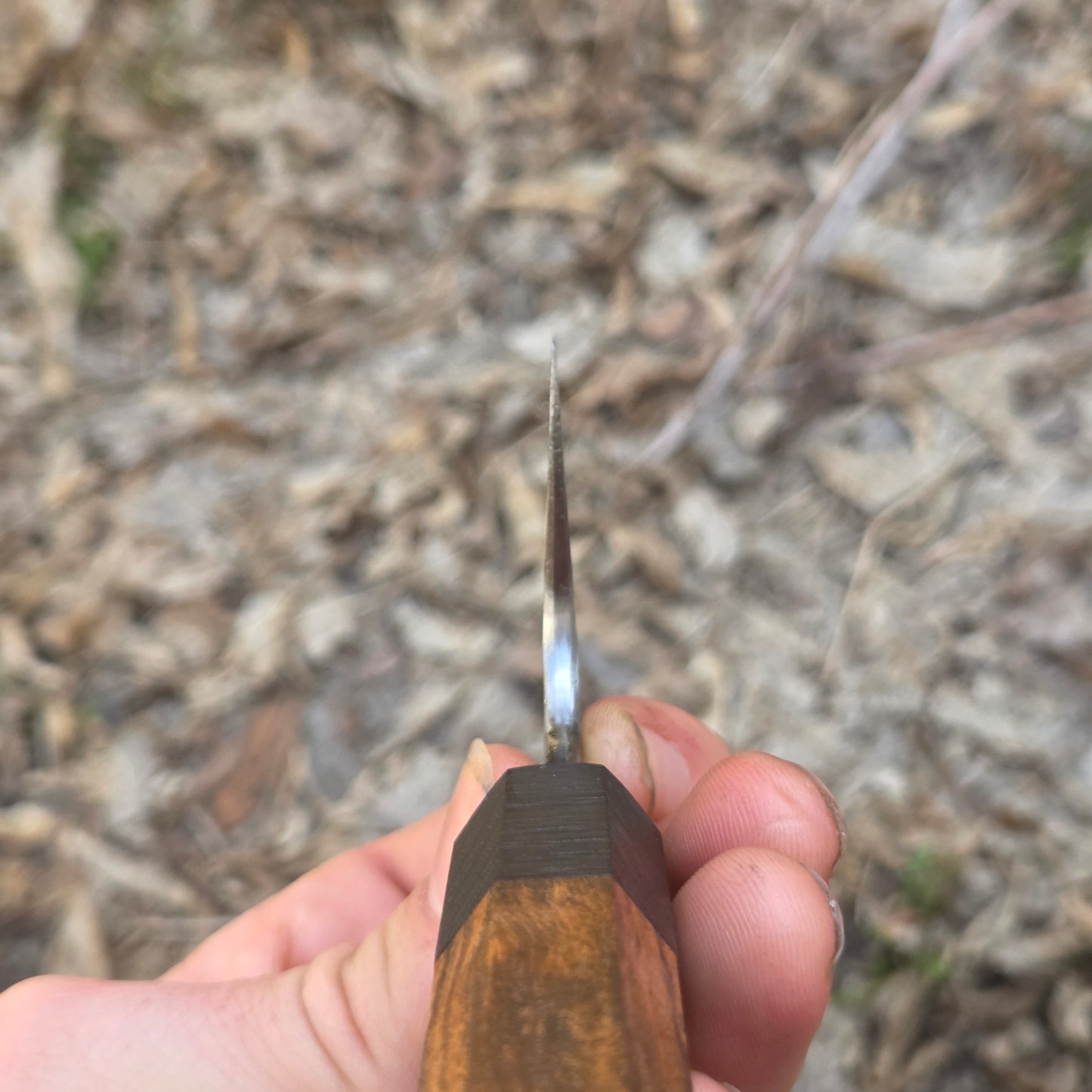 1.2419 Gyuto