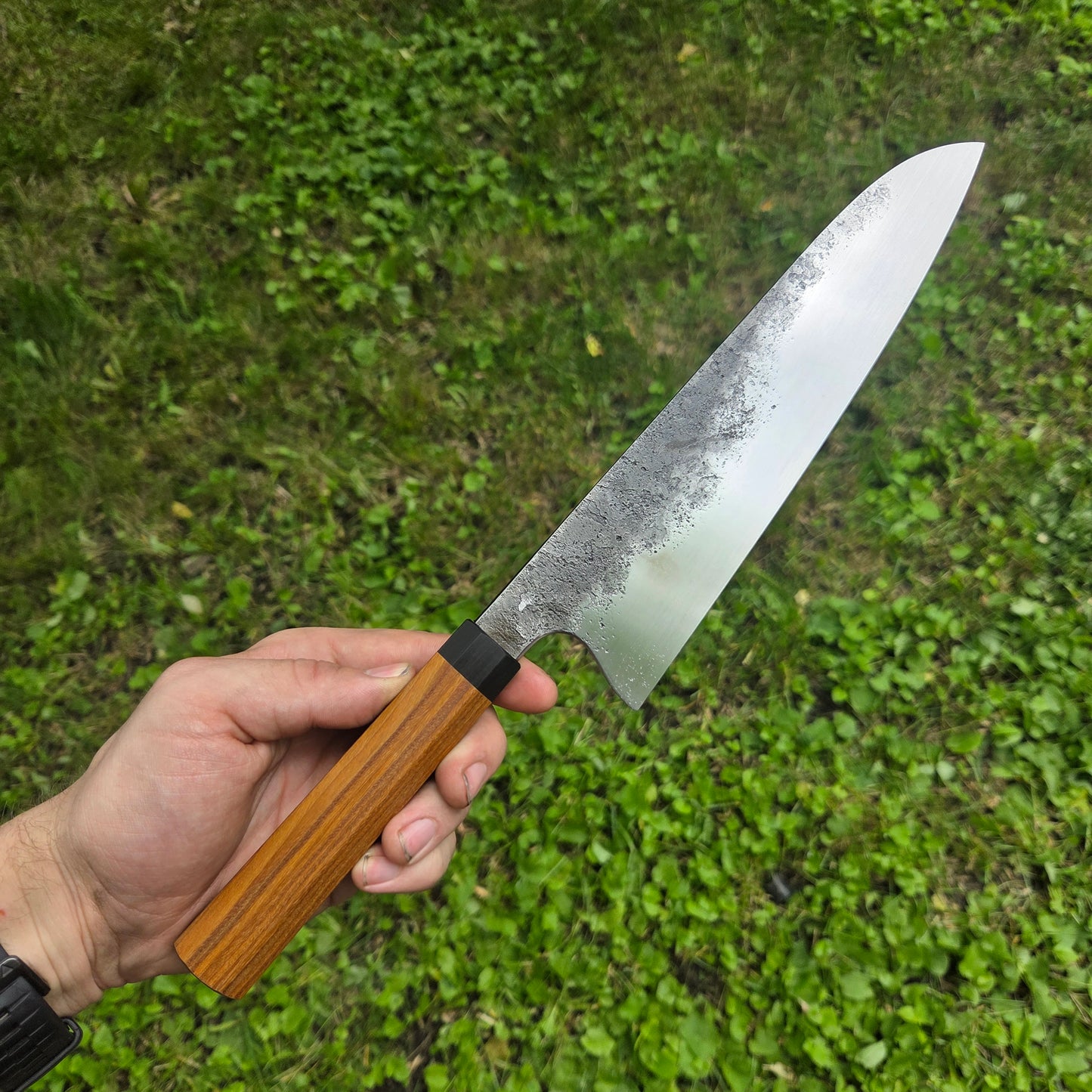 Procut Gyuto