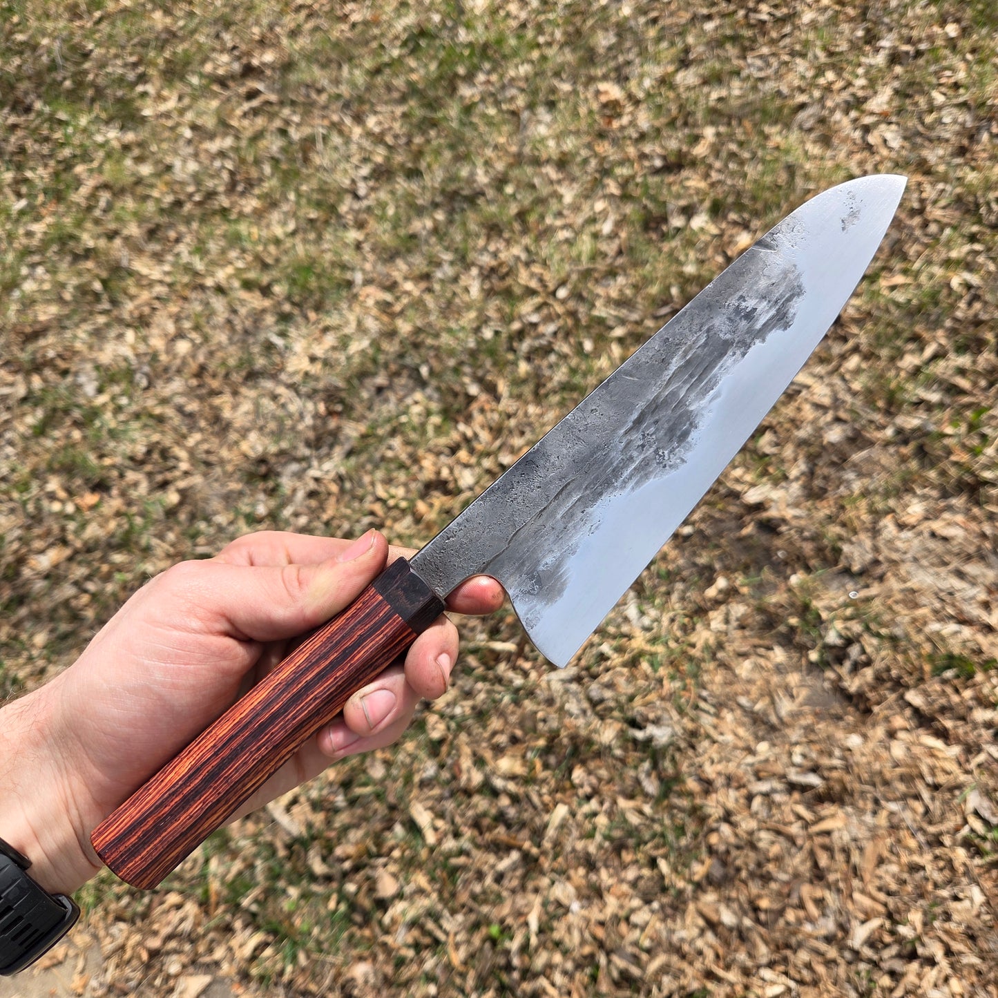 Procut Gyuto